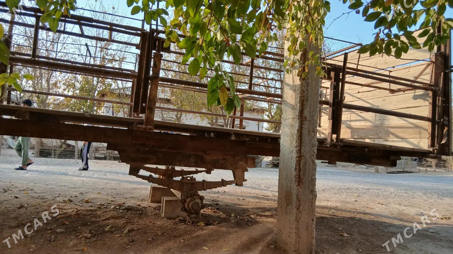 Bal Ary telesge prisep - Tejen - img 4