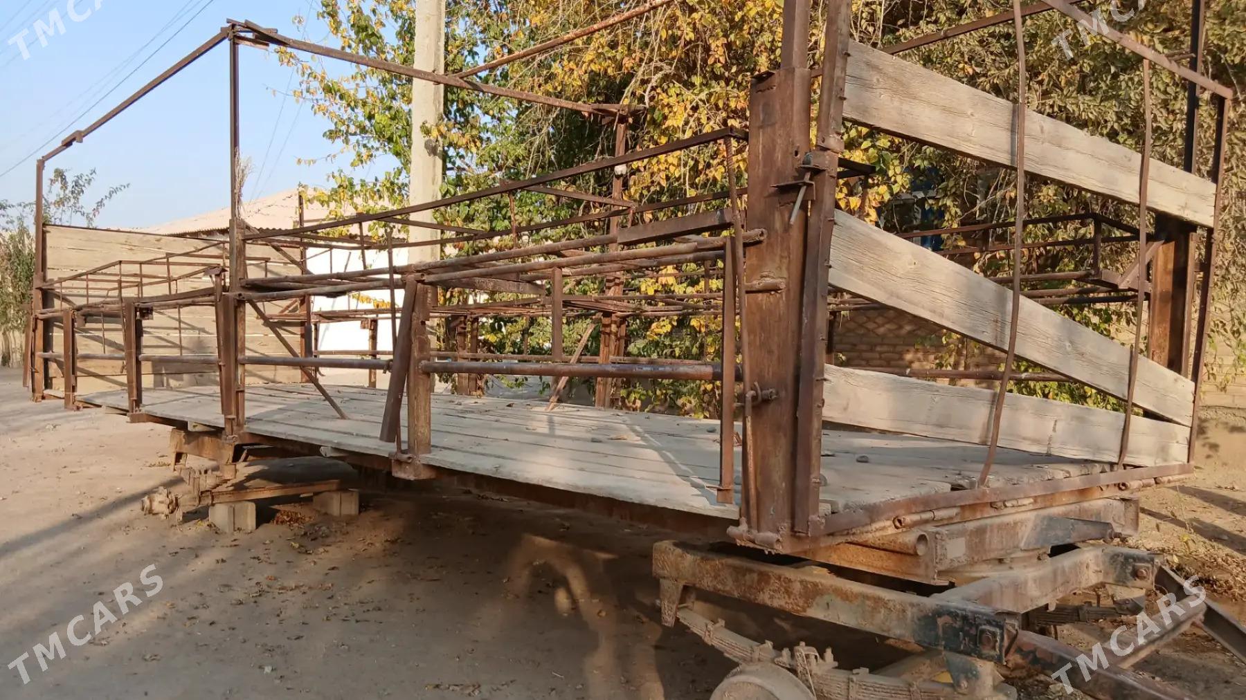 Bal Ary telesge prisep - Tejen - img 1