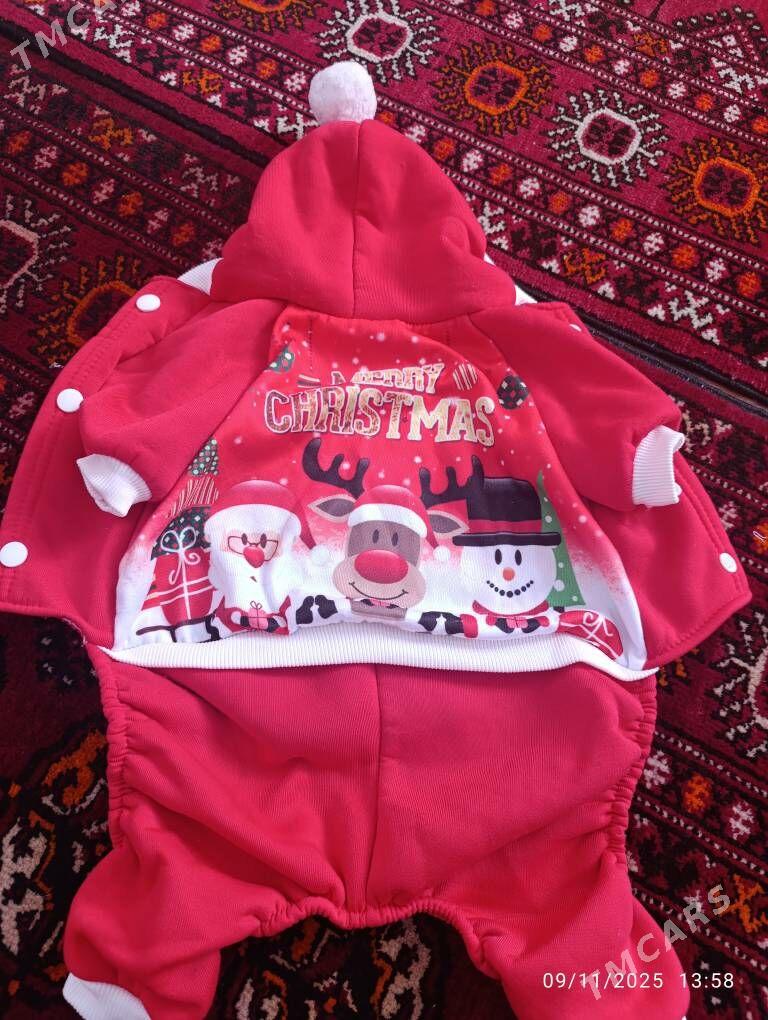 Taze yyl kostyum - Туркменабат - img 3