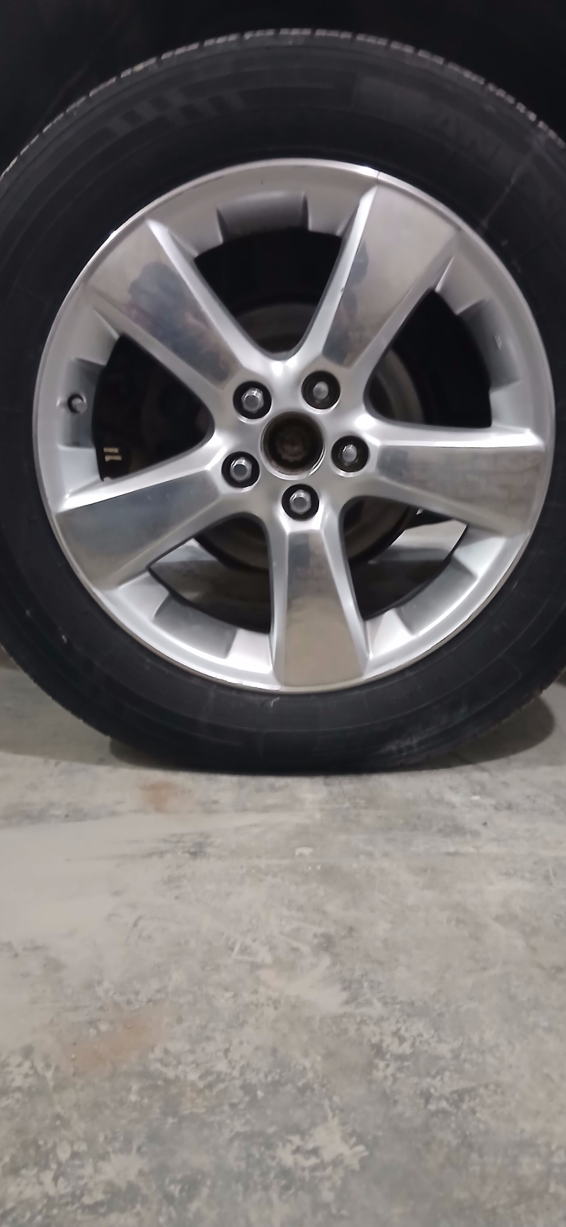 disga 5 000 TMT - Керки - img 2