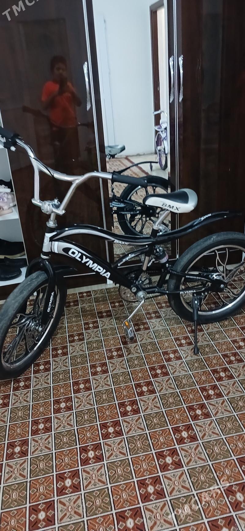 tigir - Parahat 7 - img 2