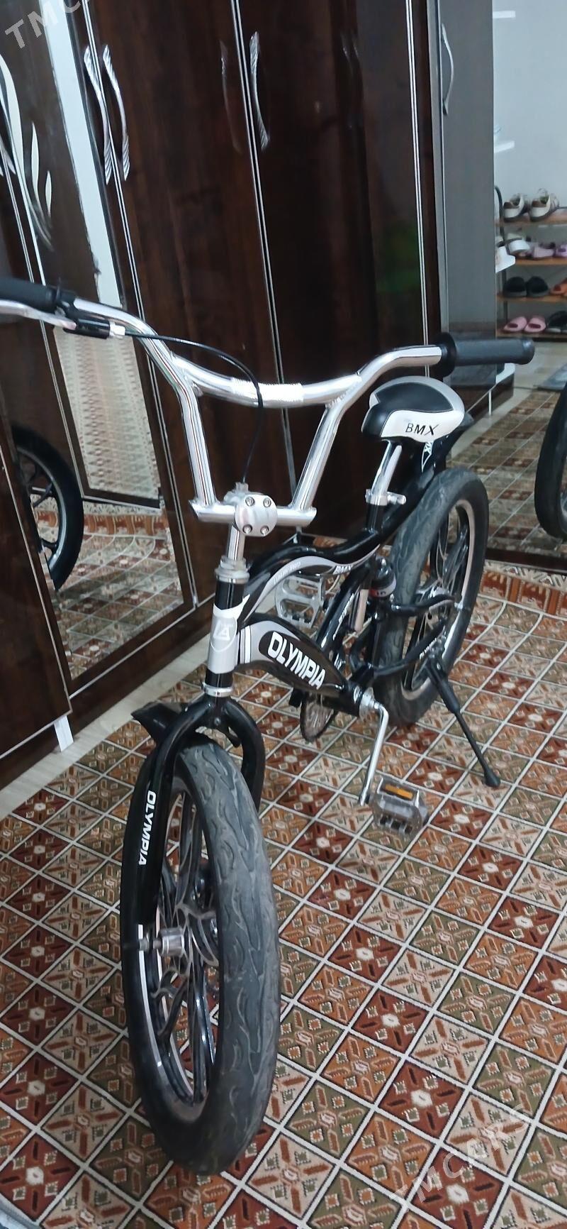 tigir - Parahat 7 - img 3