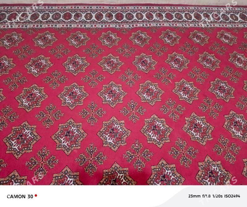 haly - Ýalkym - img 1