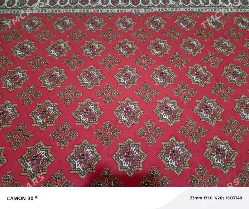 haly - Ýalkym - img 2