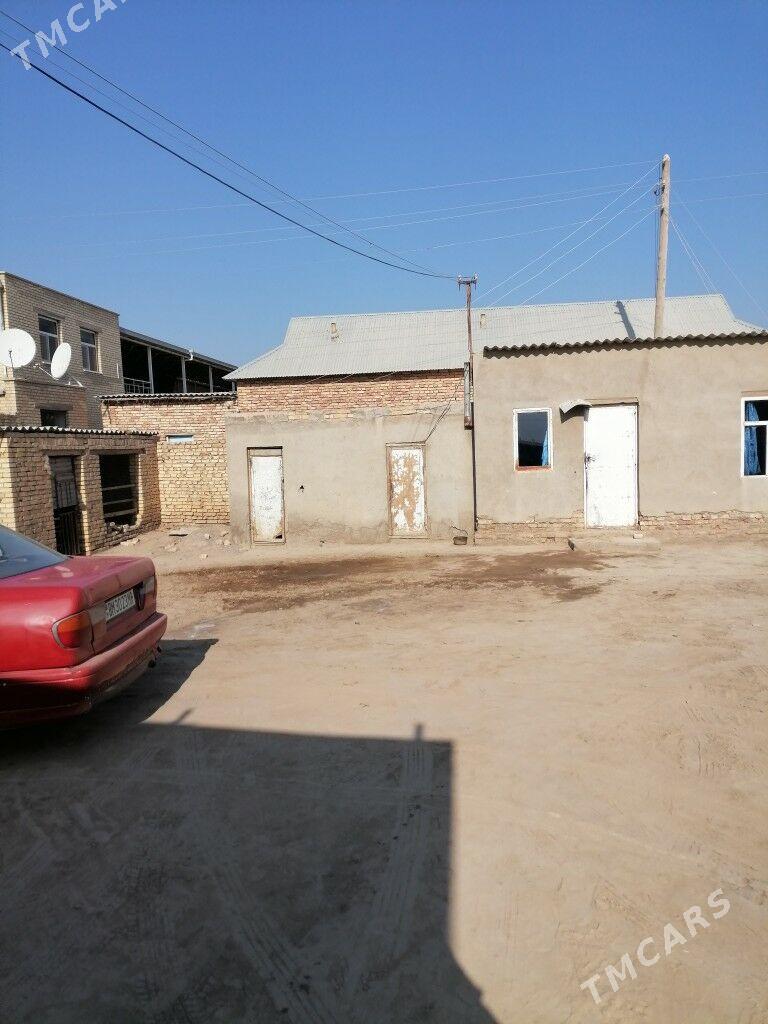 Howly jay - Каракумский этрап - img 2