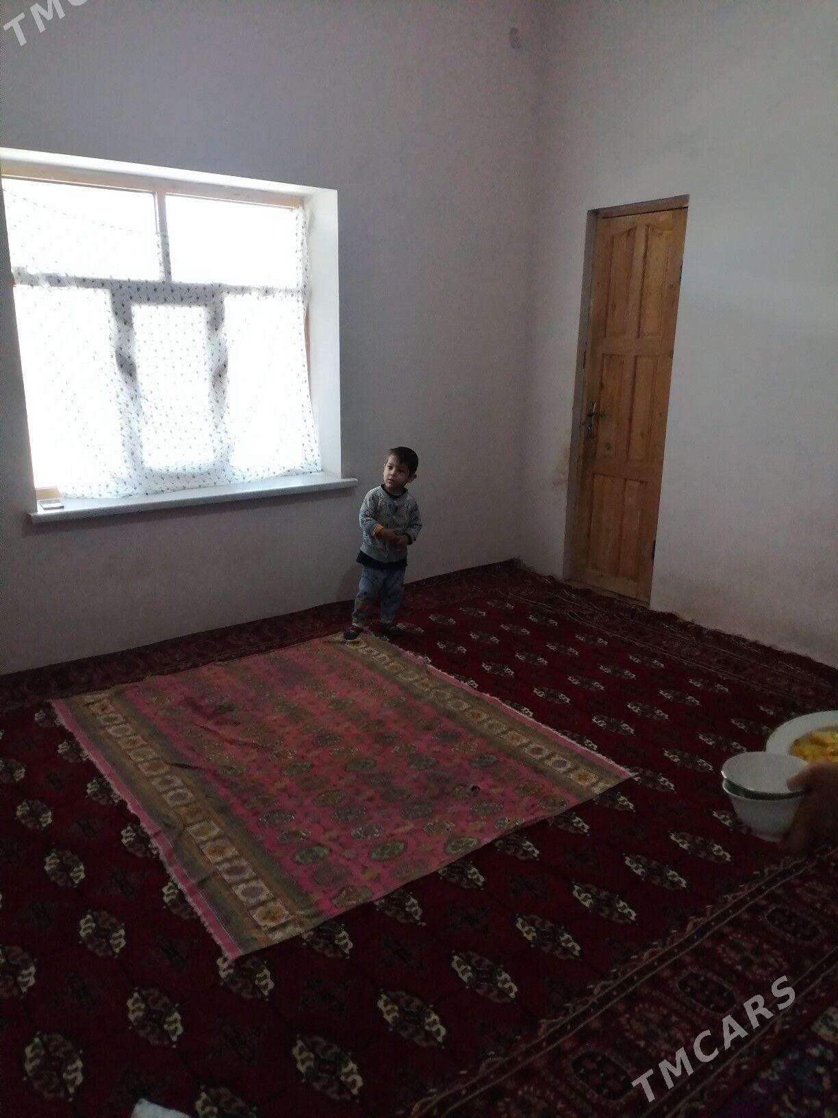 Howly jay - Каракумский этрап - img 3