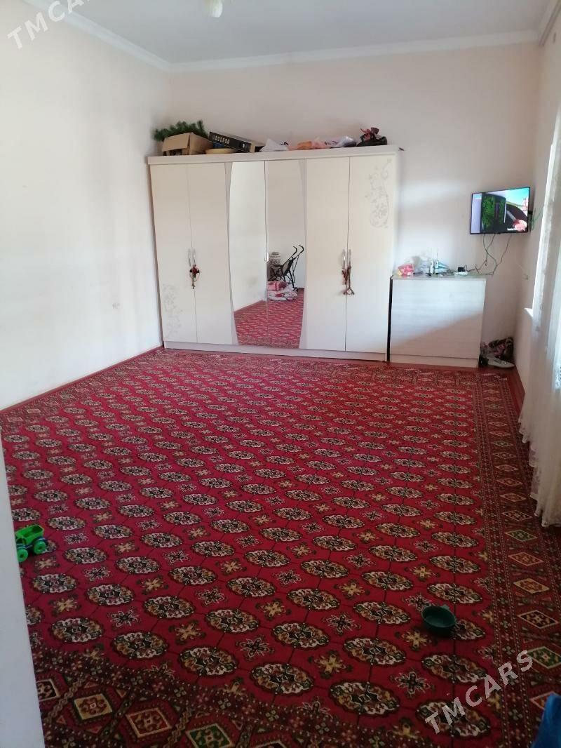 Howly jay - Каракумский этрап - img 5