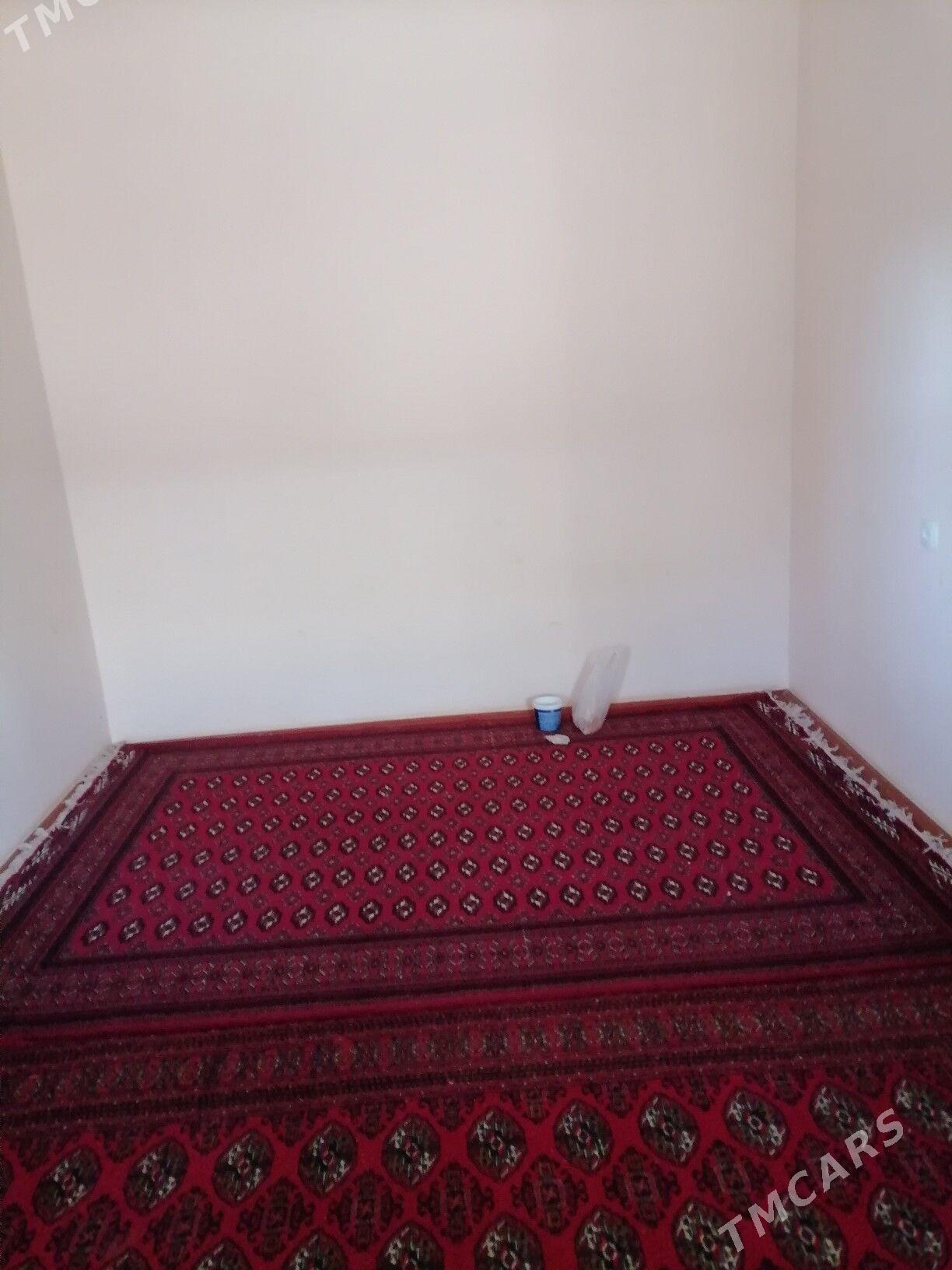 Howly jay - Каракумский этрап - img 4