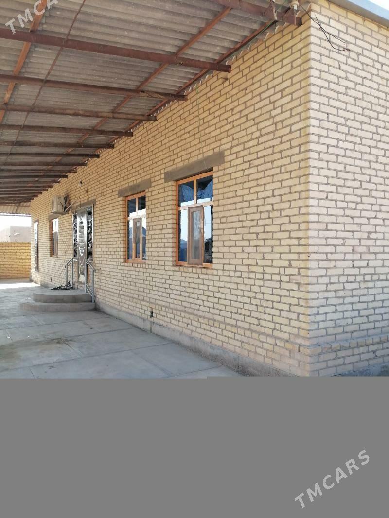 Howly jay - Каракумский этрап - img 1