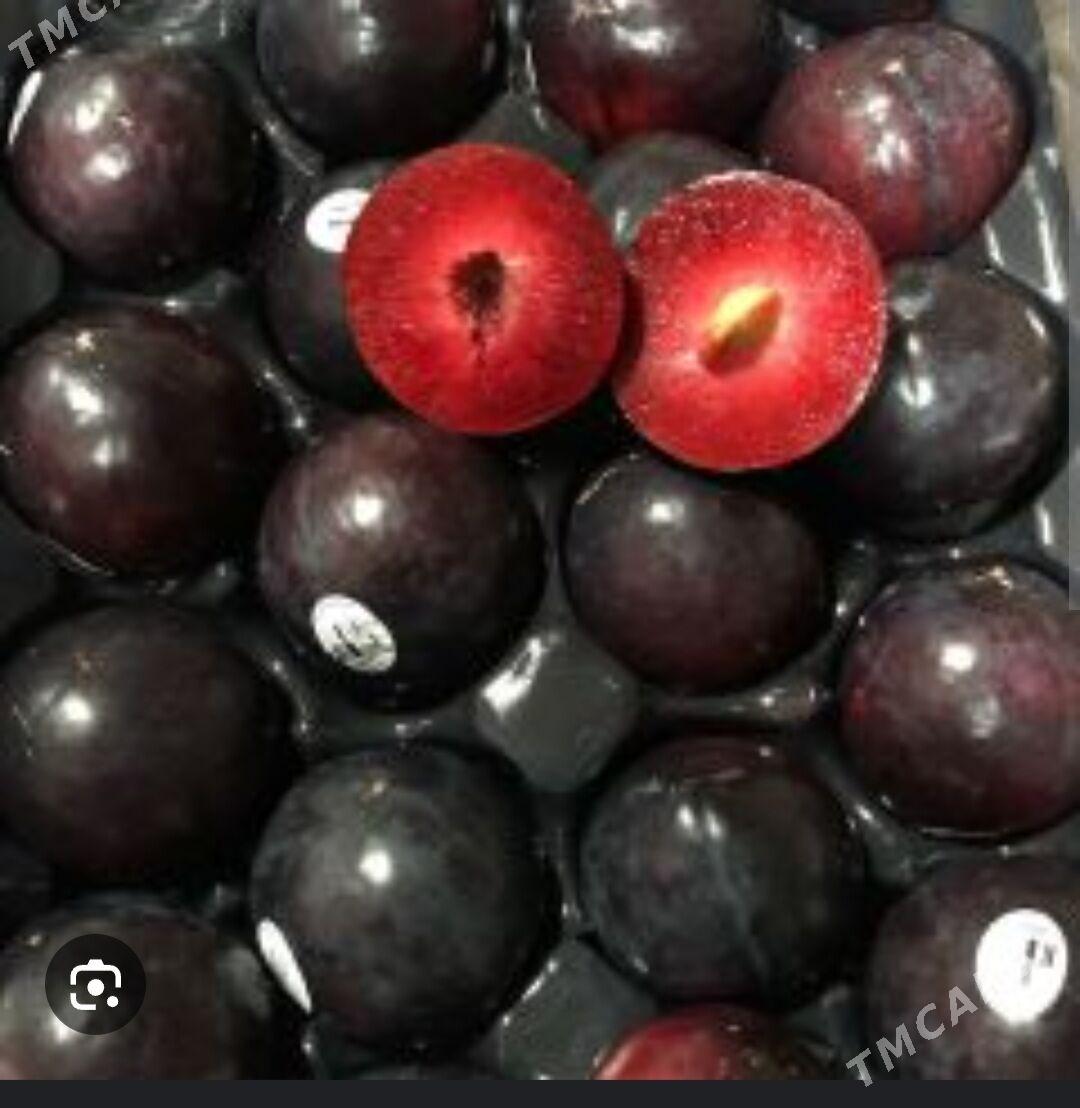 GARALY TURK NAHAL - Änew - img 5