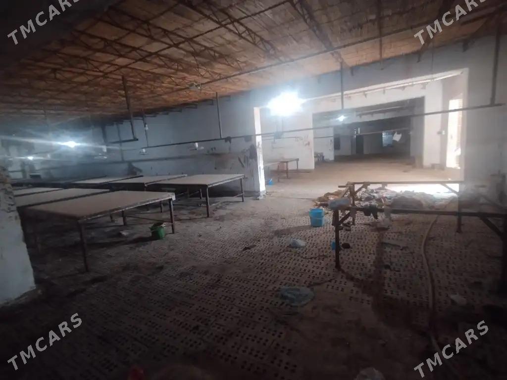 satlyk yer - Mary - img 8