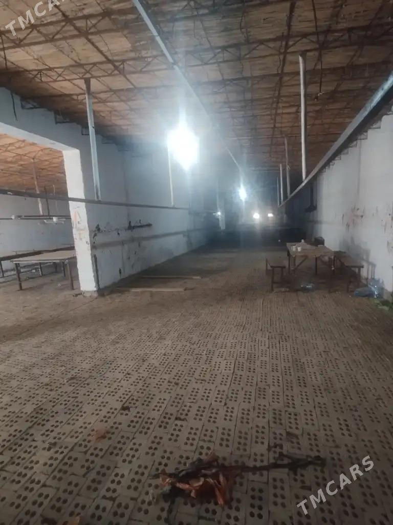 satlyk yer - Mary - img 6