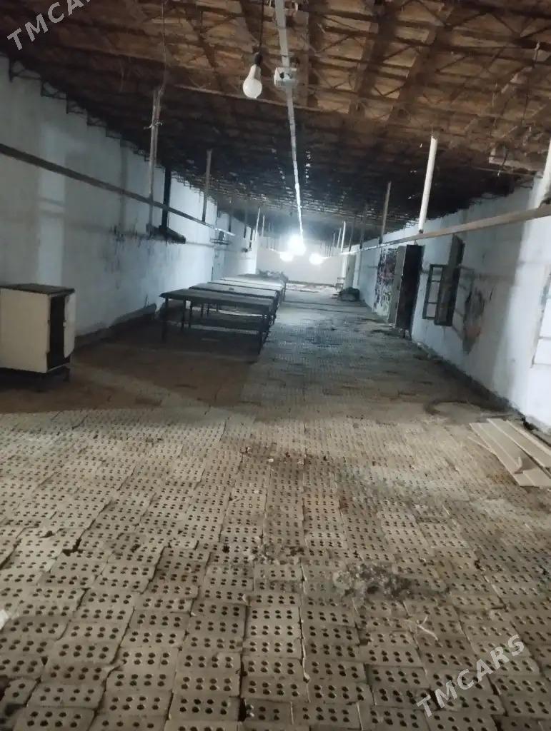 satlyk yer - Mary - img 3