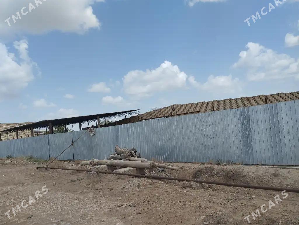 satlyk yer - Mary - img 2