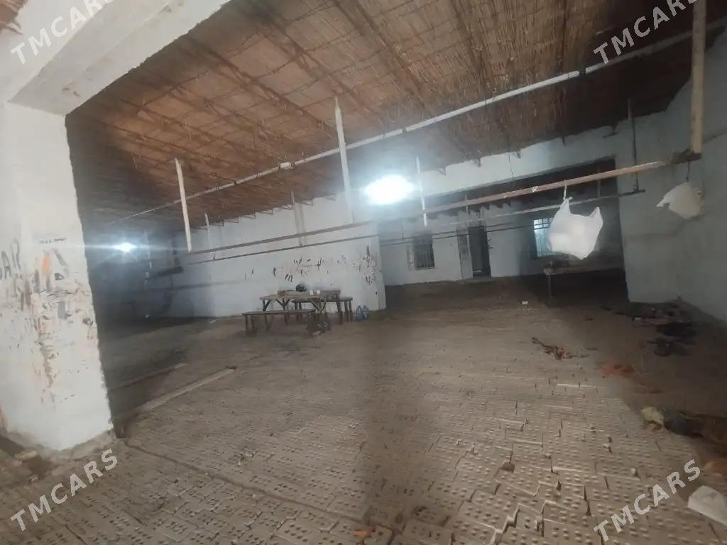 satlyk yer - Mary - img 9