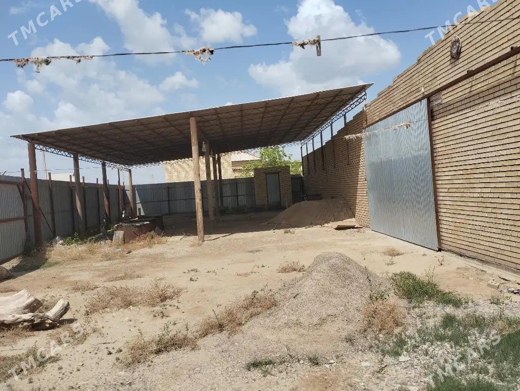 satlyk yer - Mary - img 4