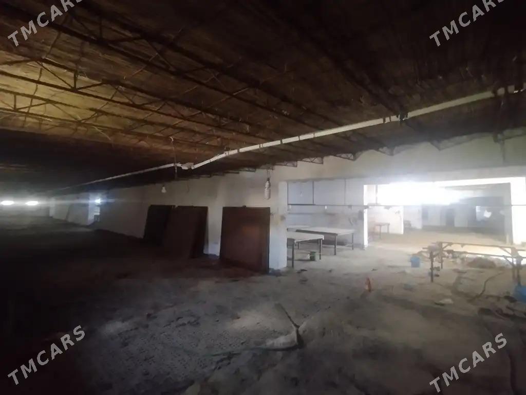 satlyk yer - Mary - img 7