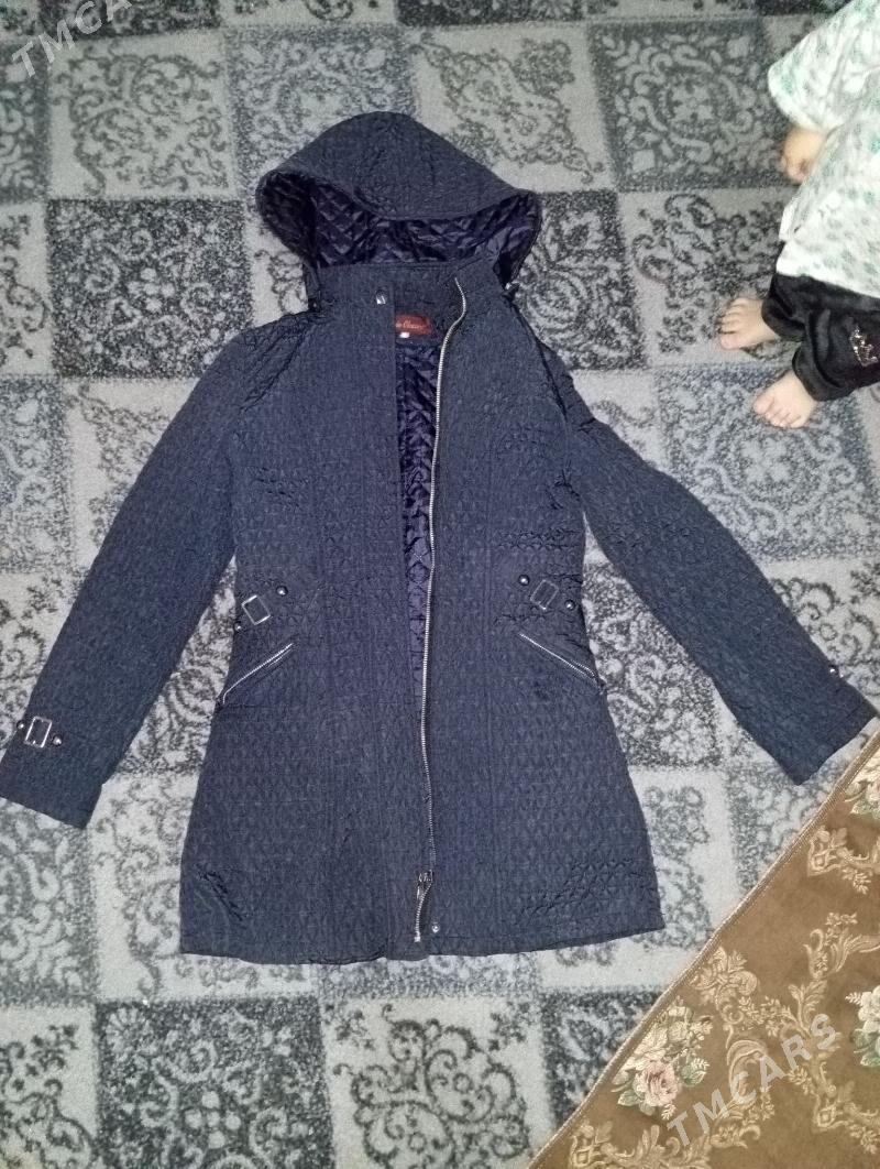 kurtga - Гумдаг - img 3