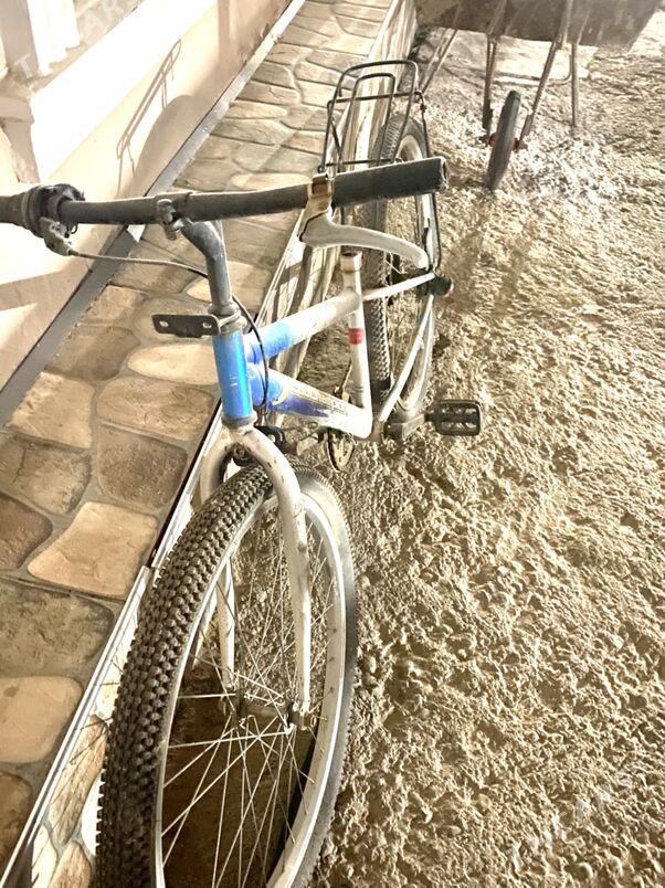 welik - Mary - img 3