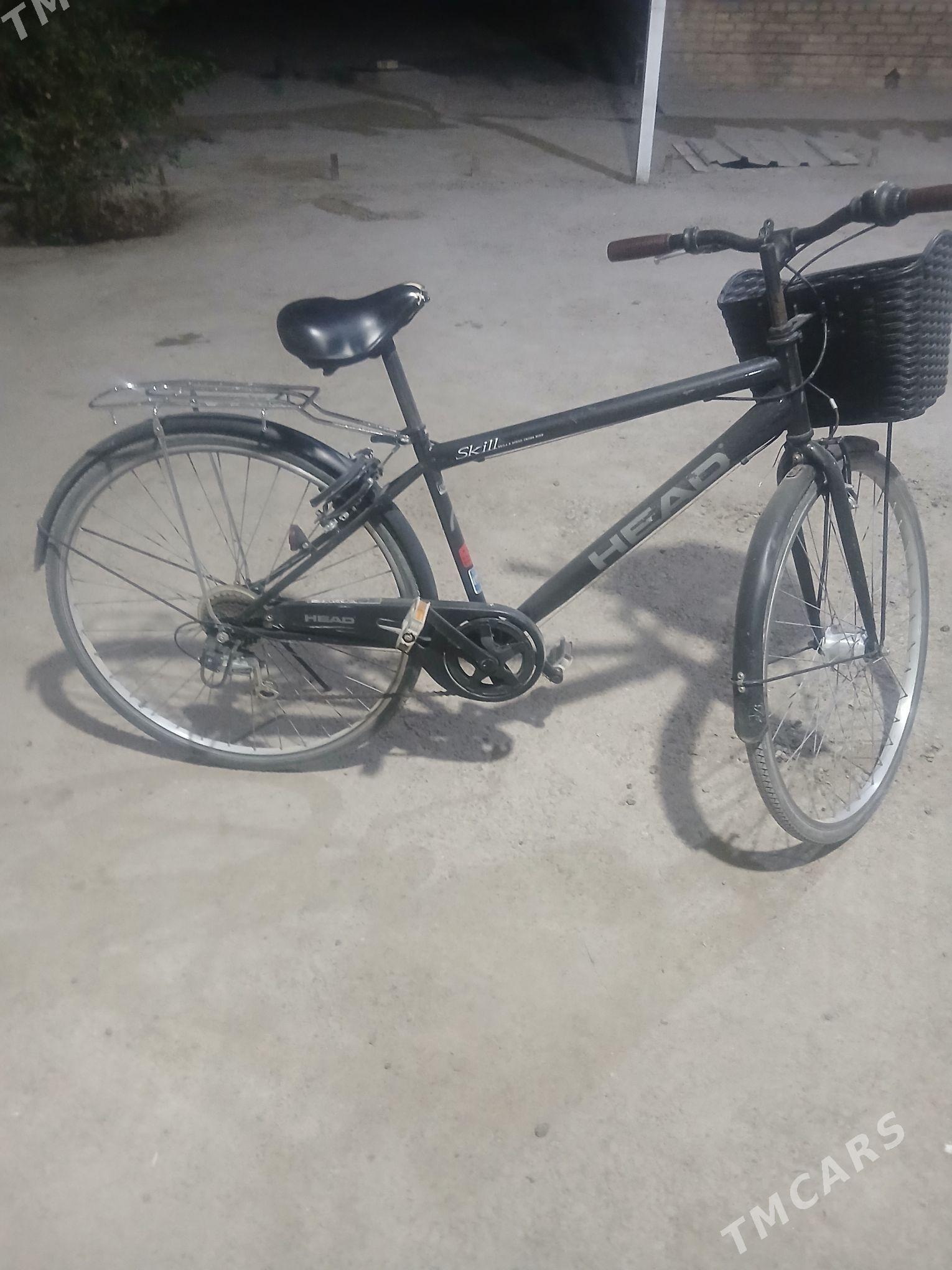 tigir - Мургап - img 2