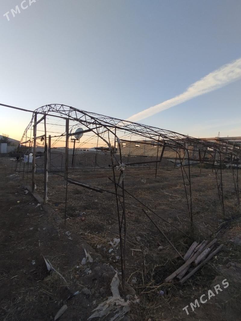 teplisa - Türkmenabat - img 8