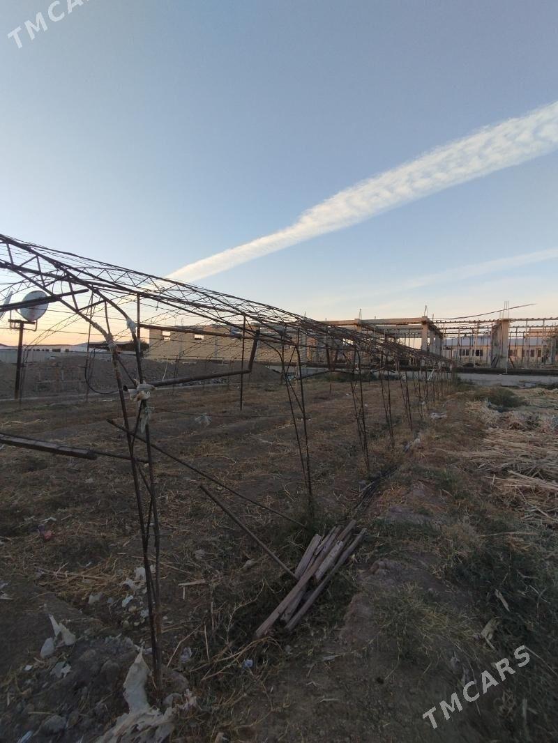 teplisa - Türkmenabat - img 3