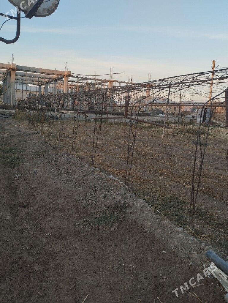 teplisa - Türkmenabat - img 6