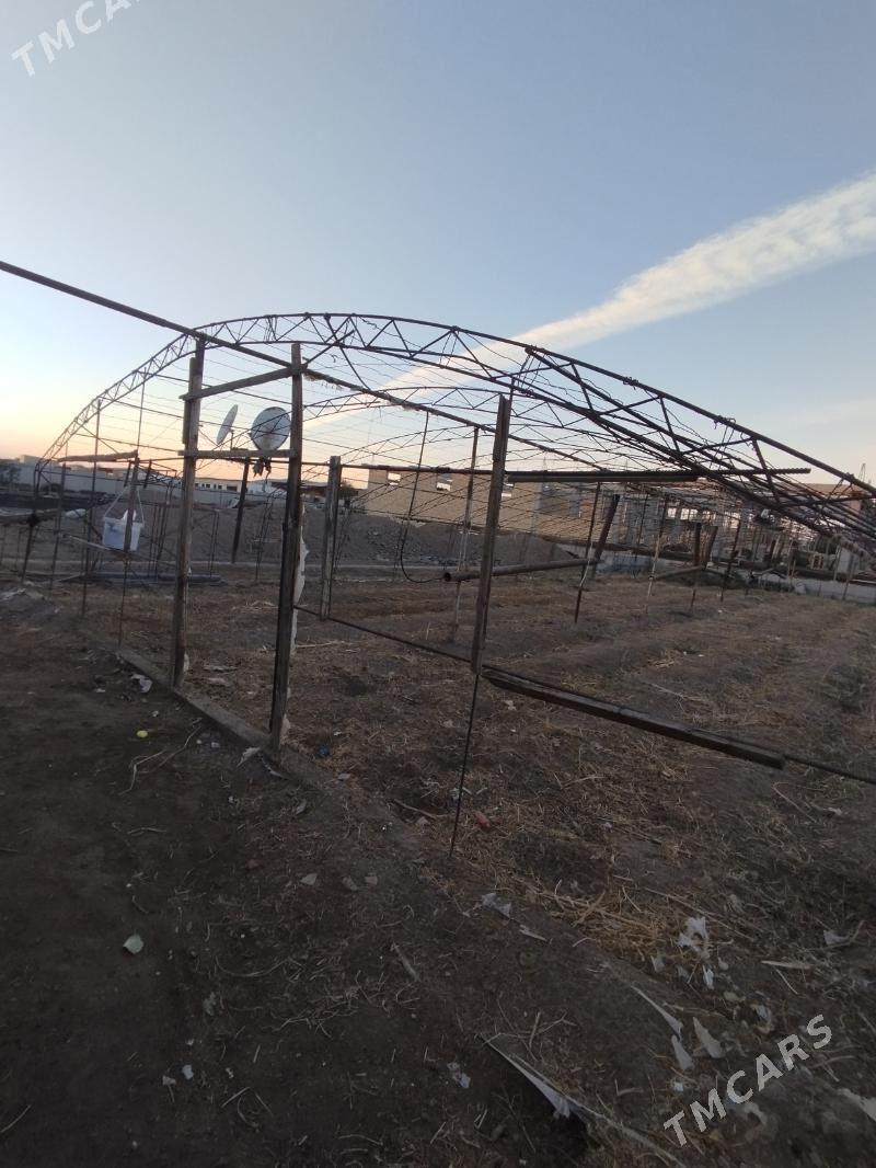 teplisa - Türkmenabat - img 5