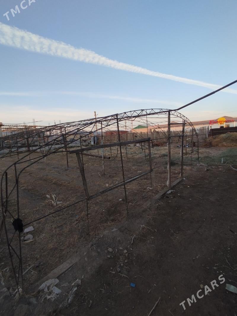 teplisa - Türkmenabat - img 4