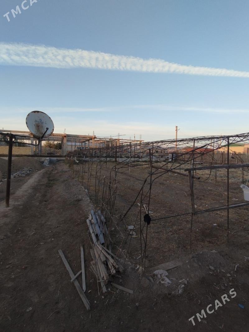 teplisa - Türkmenabat - img 2