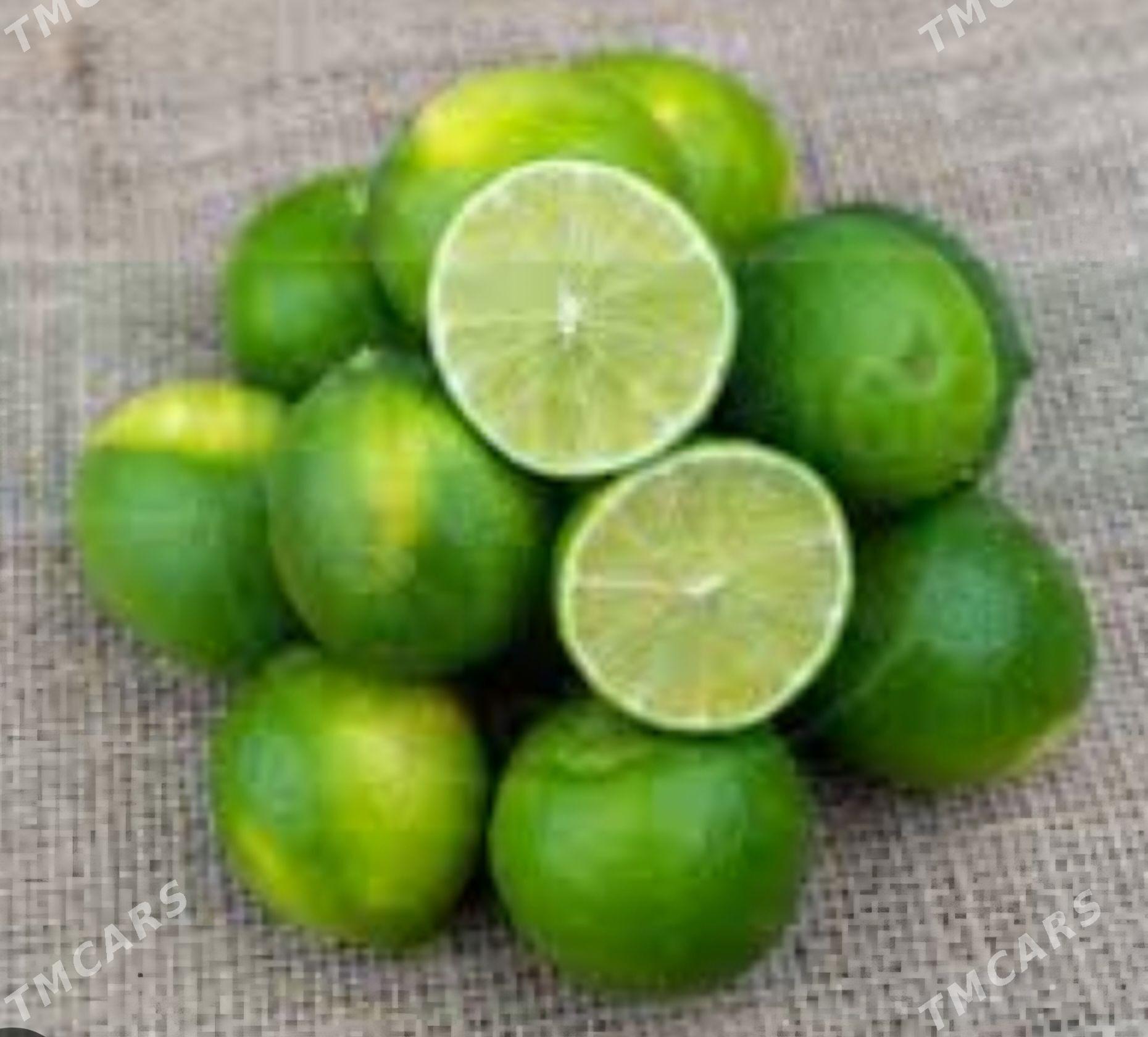 LIME YASYL LIMON TURK NAHAL - Änew - img 2