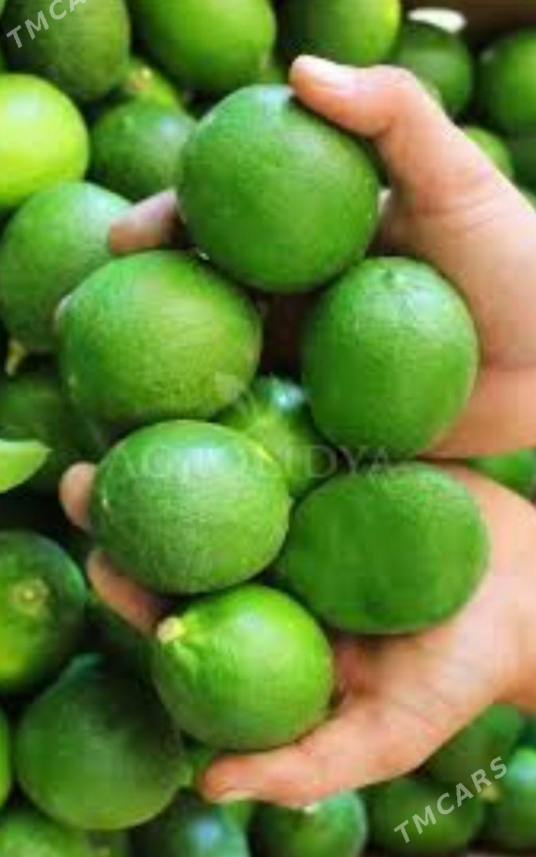 LIME YASYL LIMON TURK NAHAL - Änew - img 8
