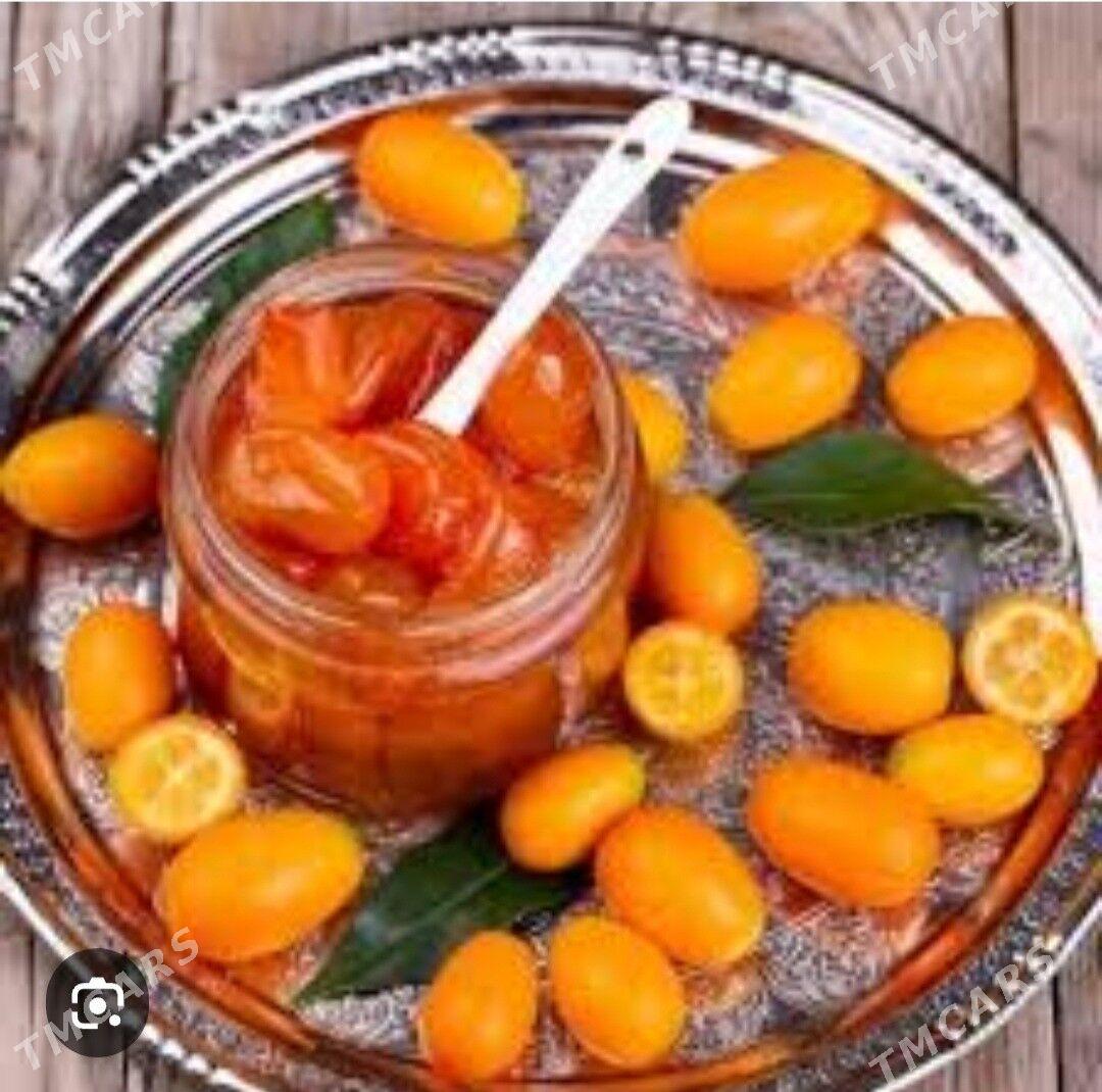 KAMKUAT TURK NAHAL - Änew - img 7