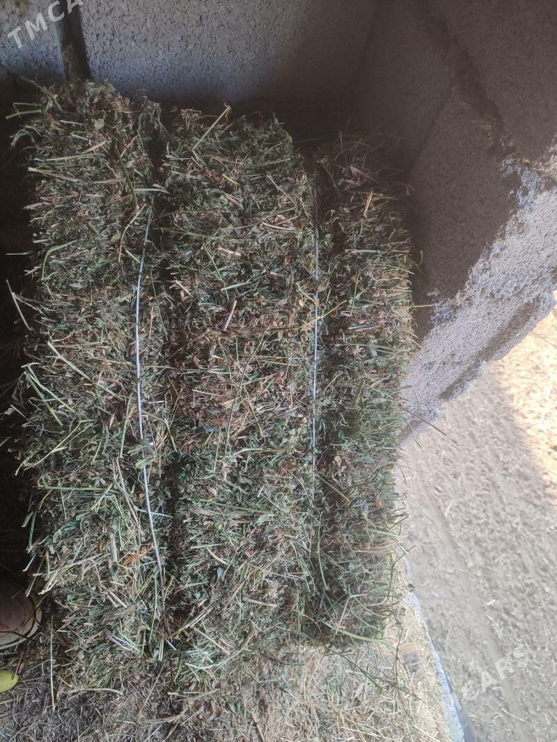 Yorunja pres - Ak bugdaý etraby - img 3