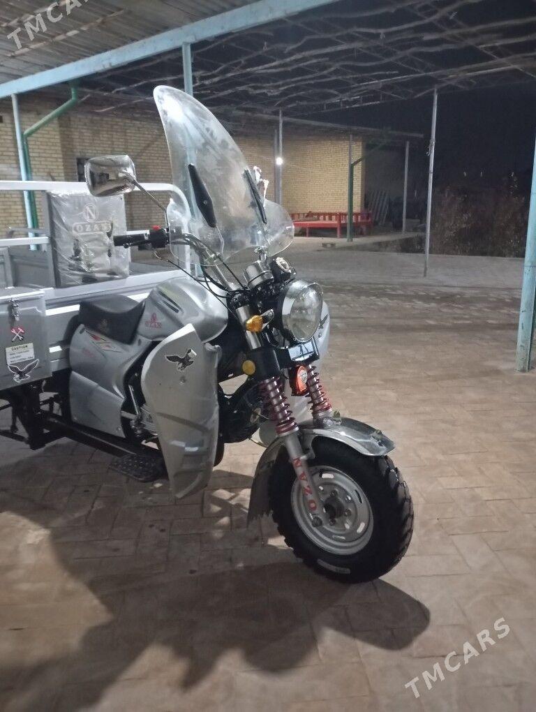 Ozan 125 2025 - 25 000 TMT - Halaç - img 4