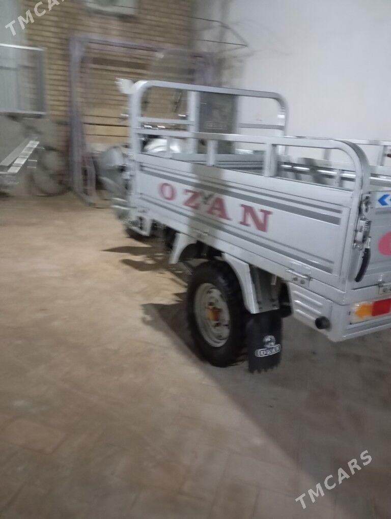 Ozan 125 2025 - 25 000 TMT - Halaç - img 3