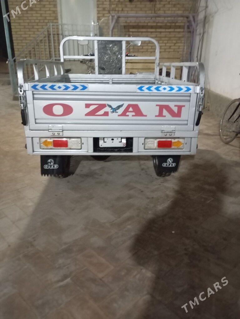 Ozan 125 2025 - 25 000 TMT - Halaç - img 6