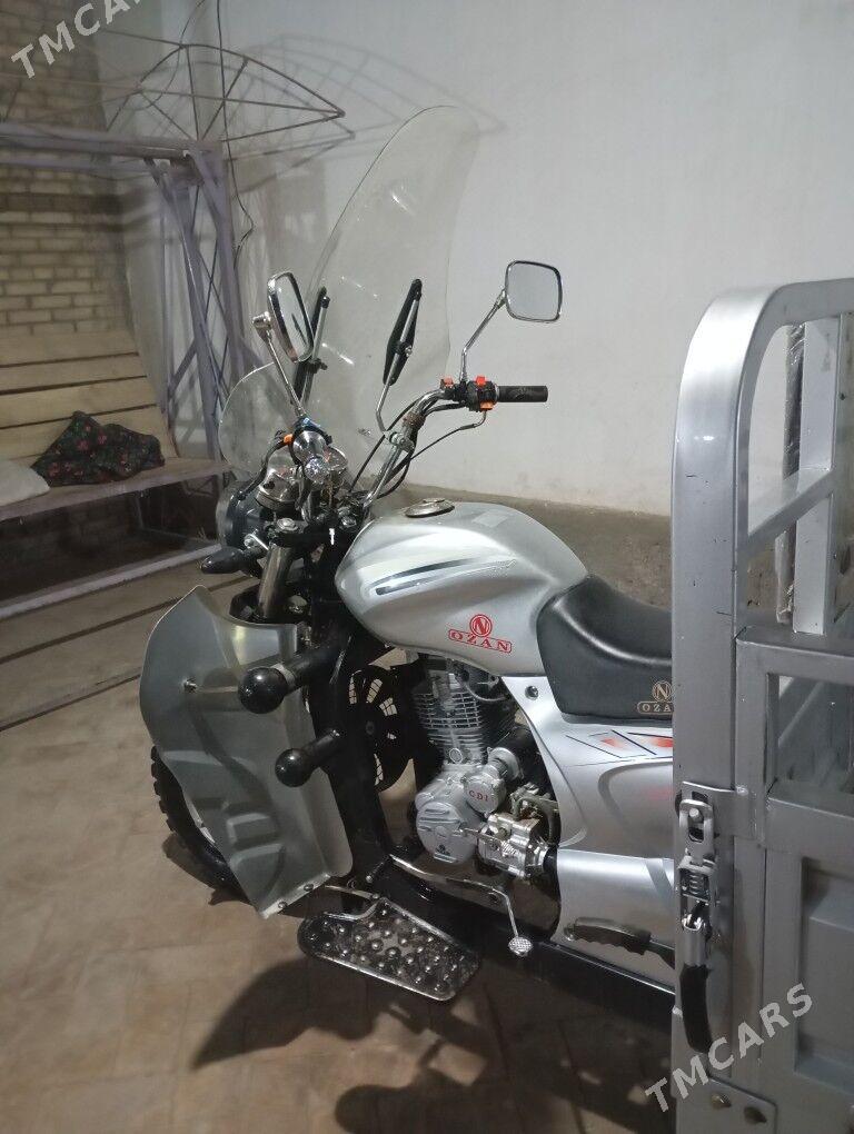 Ozan 125 2025 - 25 000 TMT - Halaç - img 2