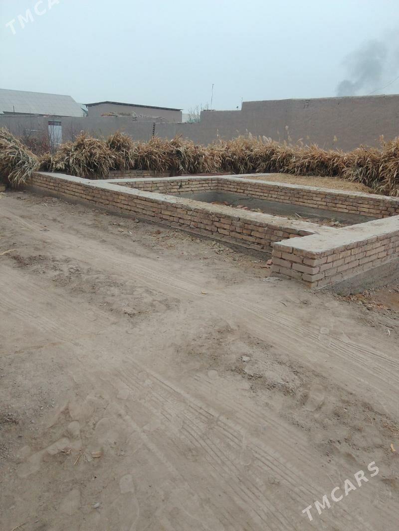 Jay satlyk - Gurbansoltan Eje - img 5