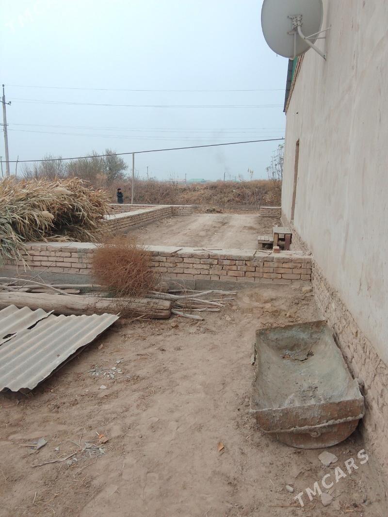 Jay satlyk - Gurbansoltan Eje - img 2