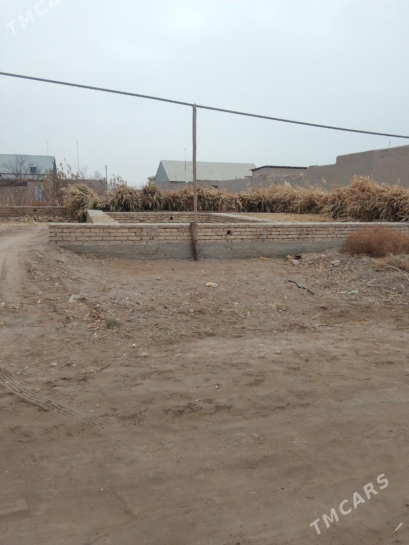 Jay satlyk - Gurbansoltan Eje - img 3