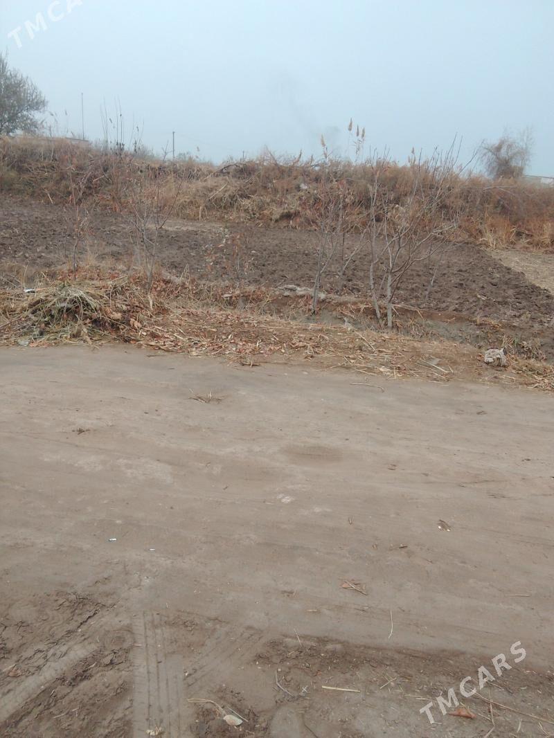 Jay satlyk - Gurbansoltan Eje - img 4