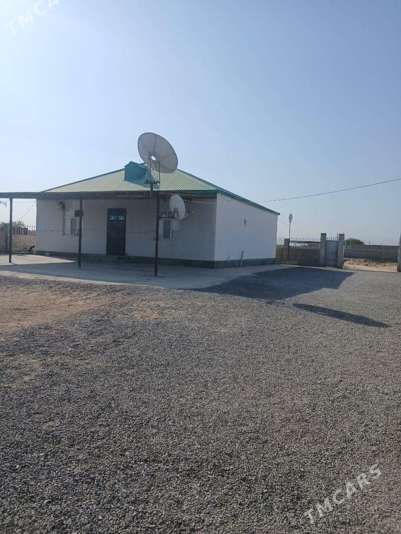 anew - Änew - img 1