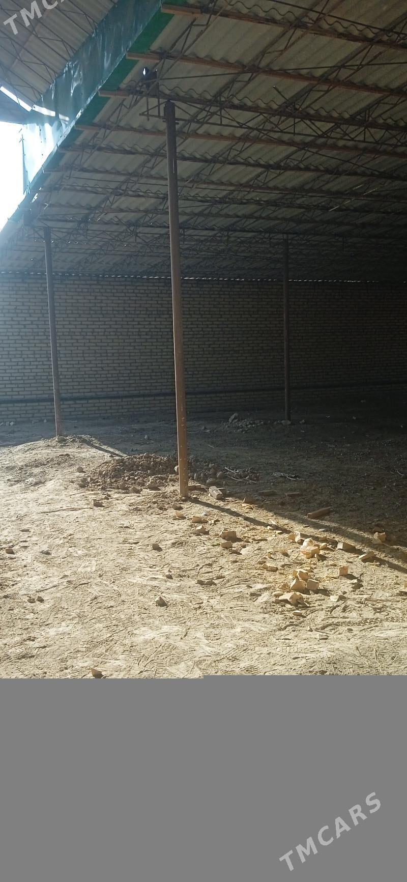 Emlak - Halaç - img 5