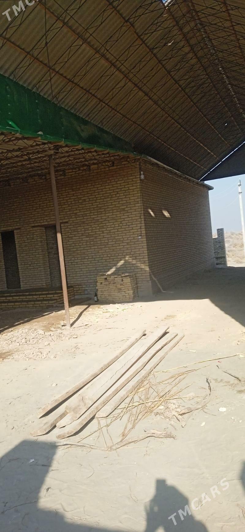 Emlak - Halaç - img 8