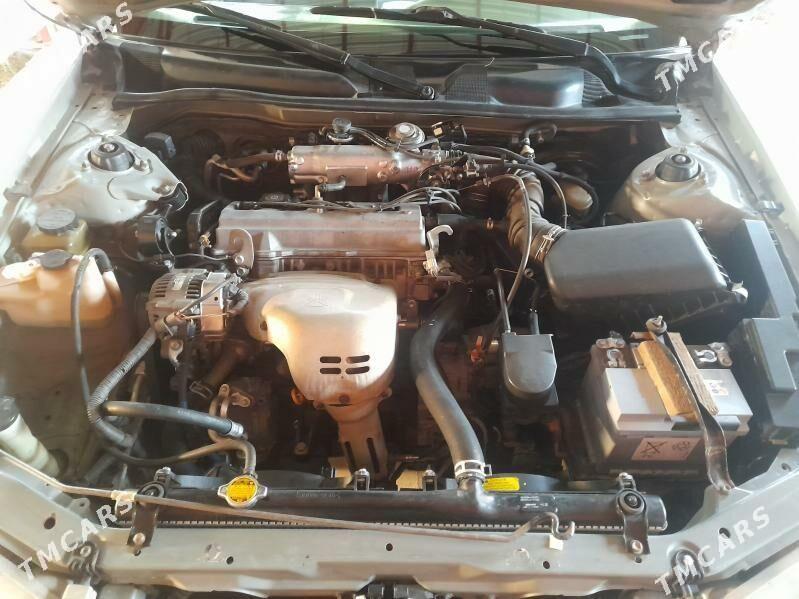Toyota Camry 2000 - 165 000 TMT - Дашогуз - img 5