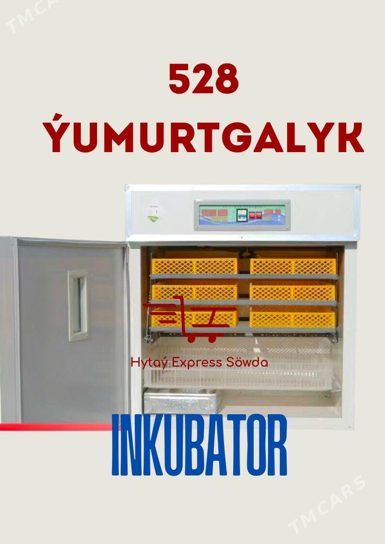 Inkubator juyje cykaryjy enjam - Ашхабад - img 3