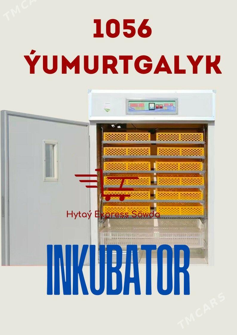 Inkubator juyje cykaryjy enjam - Ашхабад - img 2