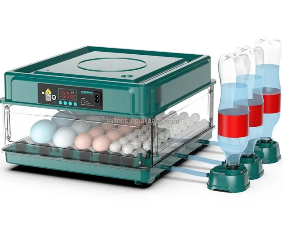 Inkwator taze   70 yumurtgalyk - Daşoguz - img 2