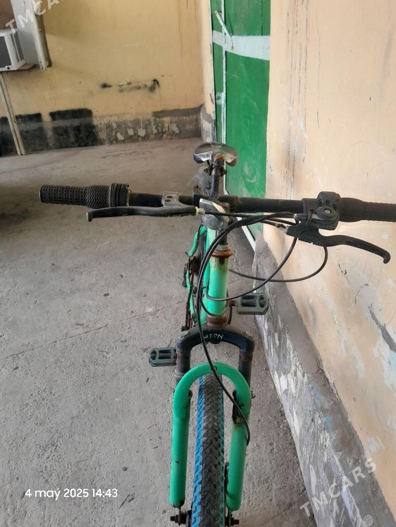 tigir - Çoganly - img 2